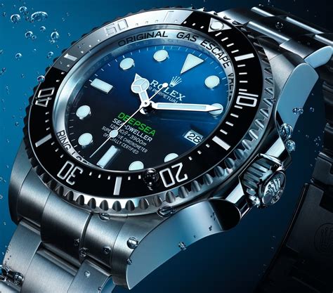 rolex oyster perpetual seadweller dive watch|rolex sea dweller 4000 price.